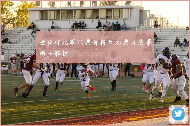 世俱杯比赛门票价格及购票注意事项全解析